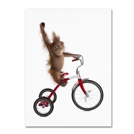 Trademark Fine Art J Hovenstine Studios 'Monkeys Riding Bikes #2' Canvas Art, 14x19 ALI1349-C1419GG